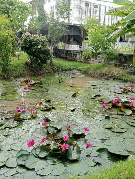 照片显示了位于Ban Chak Phutsa市的บ้านเพื่อนโฮมสเตย์物件。