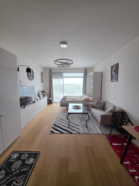 A la foto es mostra l'objecte Modern Studio on the banks of the Danube situat a la ciutat de Brenner.