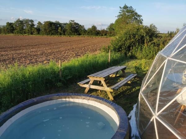 A la foto es mostra l'objecte Dome One with Hot Tub, Lincoln, Projector, Firepit situat a la ciutat de Snelland.