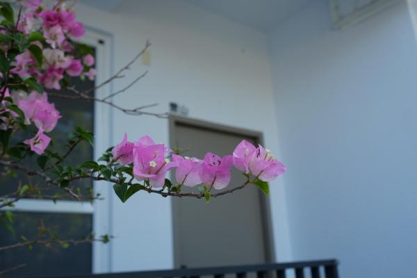 Bild 6: 雲山盼盼民宿