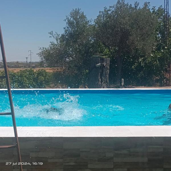 A la foto es mostra l'objecte Finca el abuelo situat a la ciutat de La Celada.