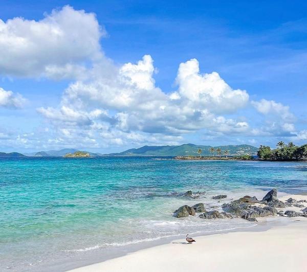 Na zdjęciu widoczny jest obiekt Sapphire Beach- Island time! położony w mieście Benner.