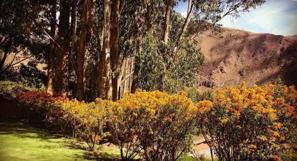 Photo 6 : House with splendid views - Valle Sagrado