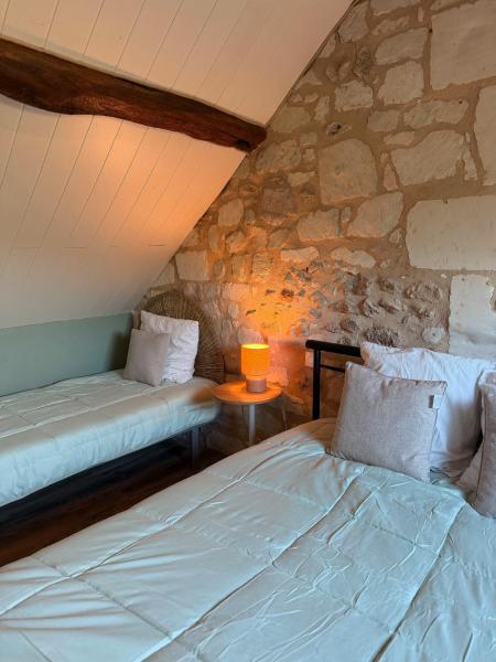 A la foto es mostra l'objecte Domaine de La Nouillière - Jacuzzi situat a la ciutat de Saint-Nicolas-de-Bourgueil.