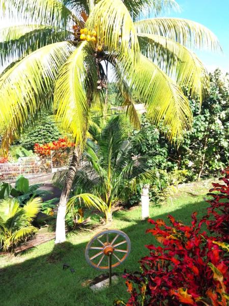 Kreol Green Place