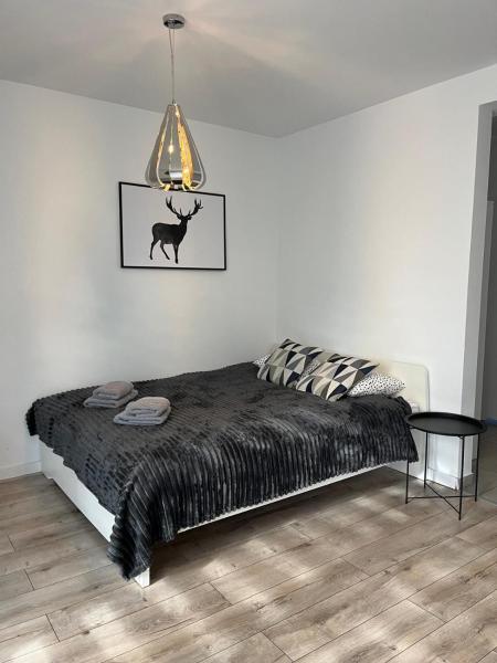 Nella foto è visibile l'oggetto Apartament Fibra Americano situato nella città di Rybnik.