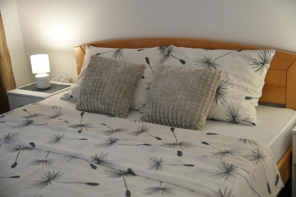 写真にはRuđinci市にあるApartman Dimić, Vrnjačka Banjaが写っています。