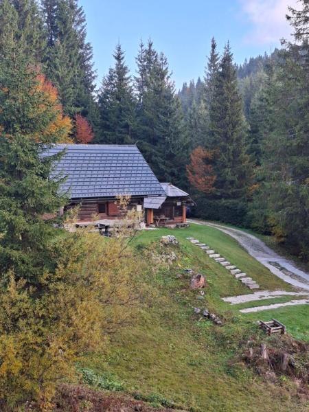 Na foto é possível ver o objeto Brunarica na Goreljeku, Pokljuka localizado na cidade de Bohinj.