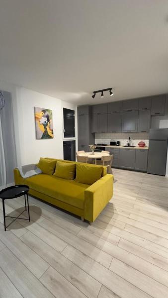 Carla Studio - Județul Arad