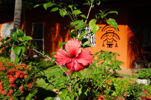 Chakana Yoga Homestay - Managua