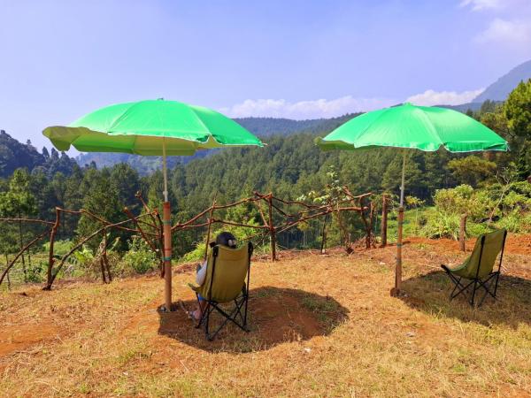 Nella foto è visibile l'oggetto Ciwidey Jungle Camp & Cabin situato nella città di Cimaung.