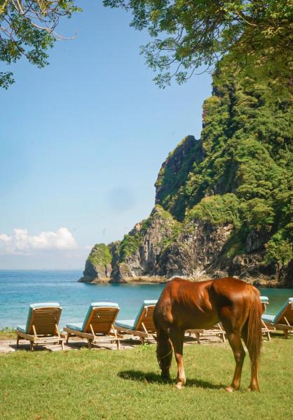 Nella foto è visibile l'oggetto Kirana Retreat - Beach Front Resort situato nella città di Sekongkang.