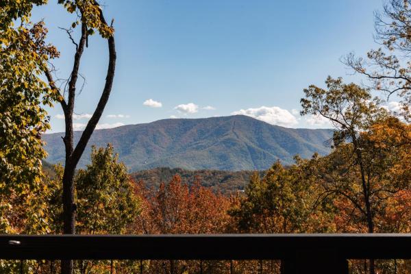 A la foto es mostra l'objecte Goodness Gracious cabin situat a la ciutat de Sevierville.