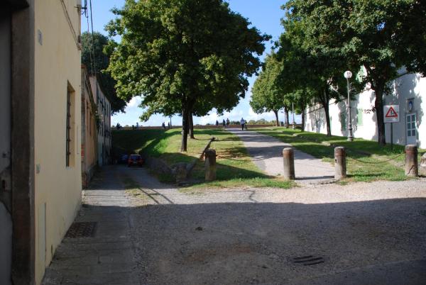 Auf dem Foto ist das Objekt Agostino Fronte Mura in der Stadt Lucca zu sehen.
