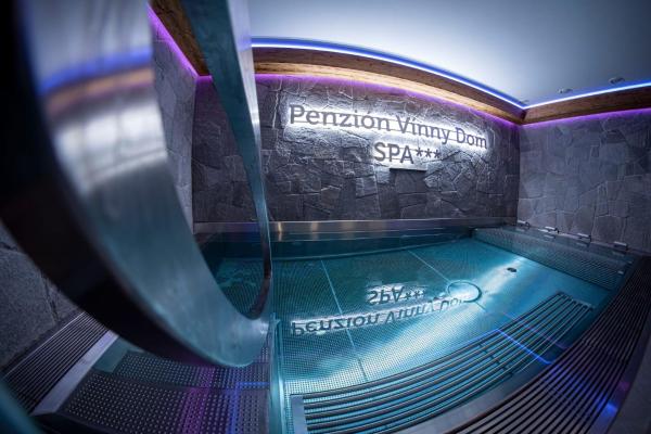 Wellness Penzión Vínny Dom - Slovakia