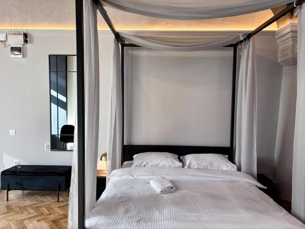 Moonlight City Center Studio-private Parking, King - Cluj-Napoca