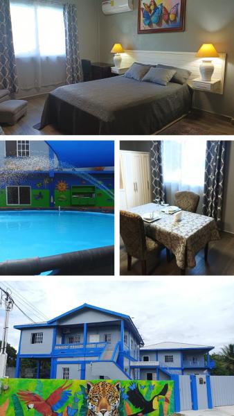 Blue Morpho Suite, Orange Walk