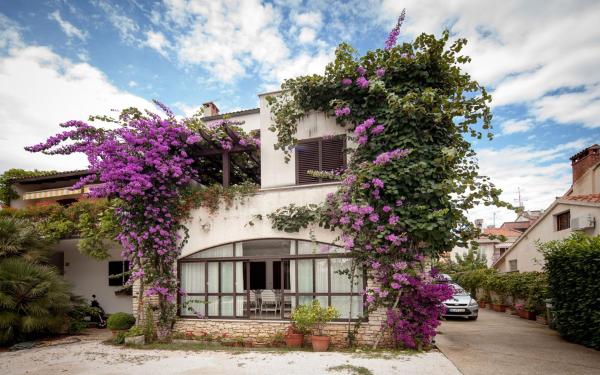 Apartments Sinisa - Rovinj
