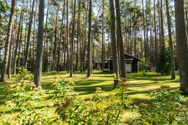 A la foto es mostra l'objecte Urlaub im Bungalow - mitten im Wald situat a la ciutat de Lütow.