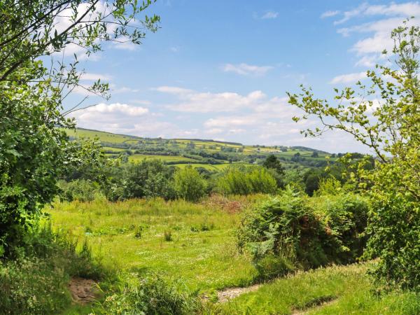 Farm House - Uk50262 - Lampeter
