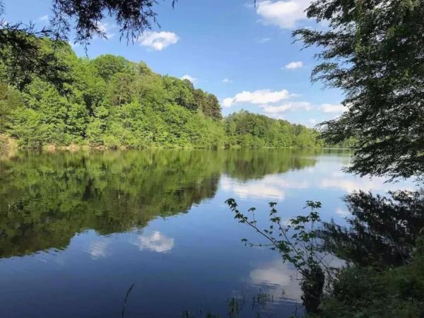 Dog-friendly Lakeside Escape W Hammock & Fire Pit - Durham, NC