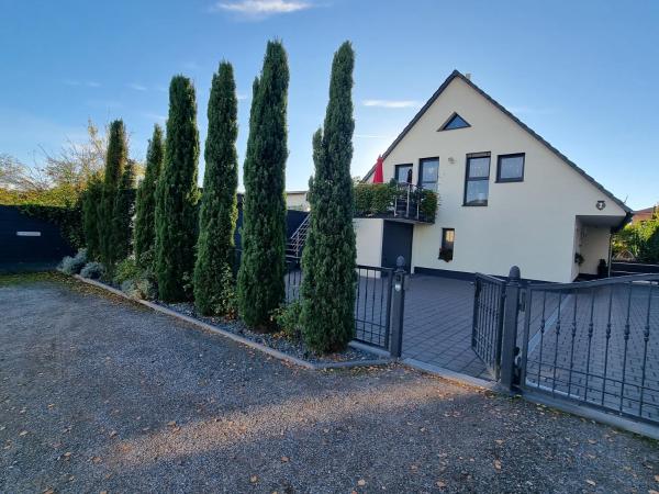 Palatinazeit - Weinblick - Ferienwohnung Im Haus Petry - Freinsheim - Pfalz - Deidesheim