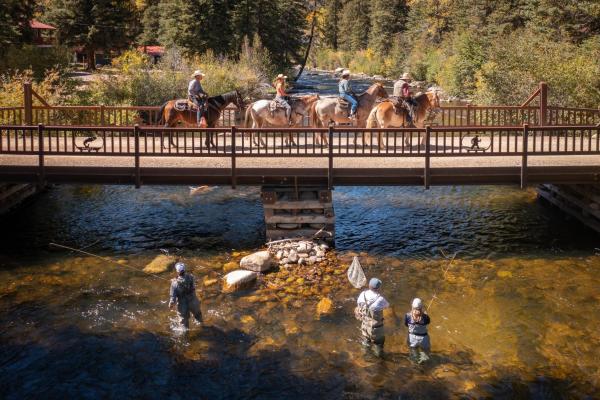 Harmels On The Taylor - Colorado