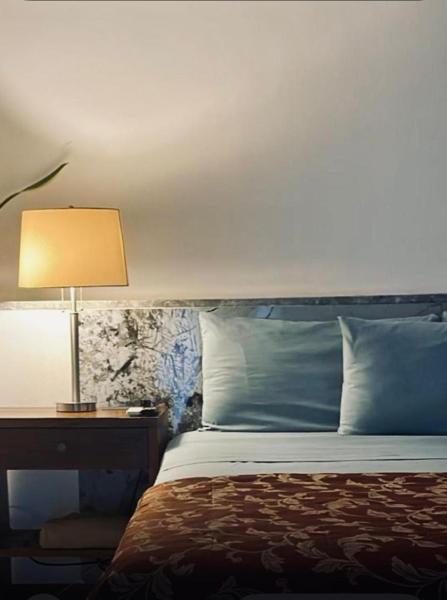 bamboo bed and breakfast, San Pedro Sula
