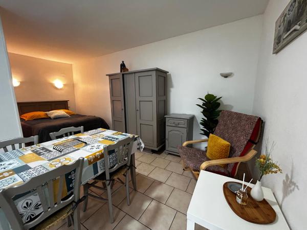 Studio Cosy Avec Wifi, Jardin, Parking Proche Centre & Thermes - Fr-1-541-191 - La Roche-Posay