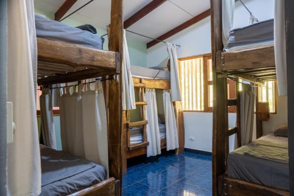 Tropical Camas Surf House - Costa Rica