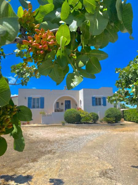 A la foto es mostra l'objecte Tzitzi Pistachio Villa situat a la ciutat de Khlóï.