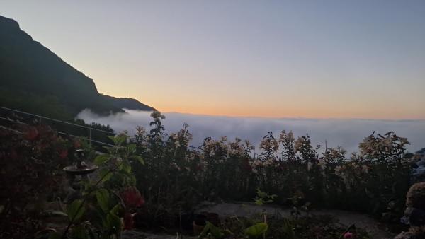 Apartament On The Edge Of The Teide National Park - Tenerife