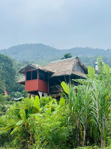 Ha Giang Uphill Coffee Farmstay