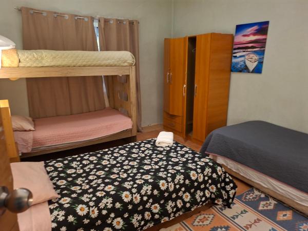 A la foto es mostra l'objecte Patagonia Mágica situat a la ciutat de Punta Arenas.