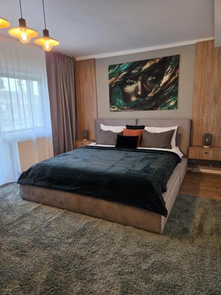 Aliva Stay Apartment - Craiova