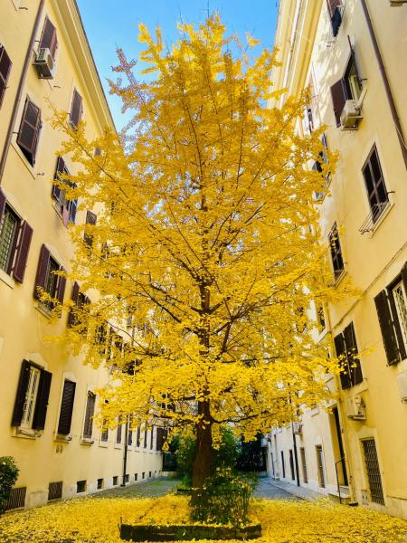 Il Cortile Del 900 - Róma