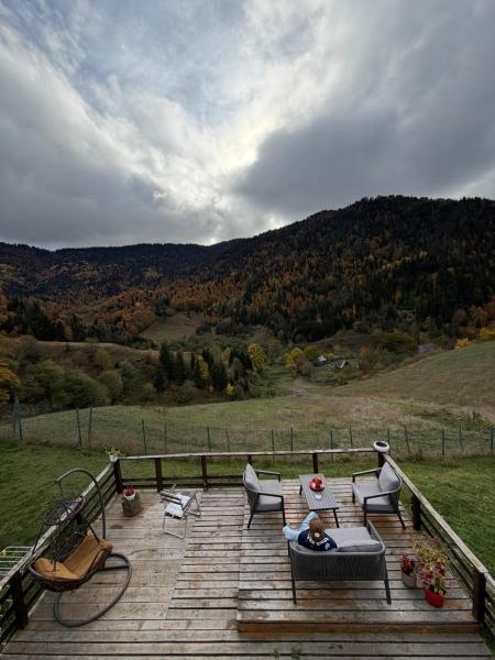 Nella foto è visibile l'oggetto Mitarbi Silence - cozy holiday cottages in mountains situato nella città di Borjomi.