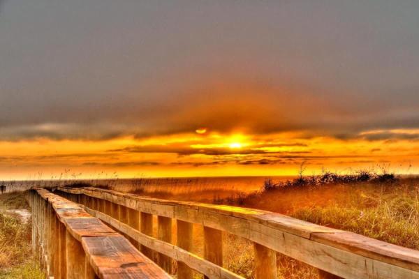 Sea Dunes #1614 - Ocean Front - Jacksonville, FL