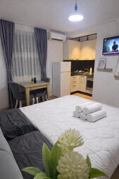 Krid Tirana Studio Flat, Tirana