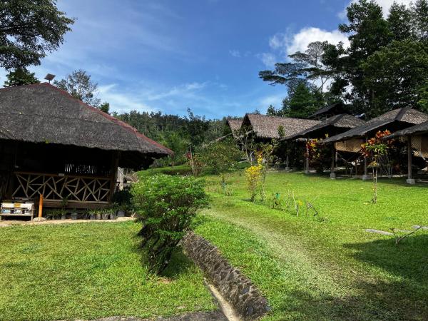 A la foto es mostra l'objecte Backpacker's Hill Resort situat a la ciutat de Roxas.
