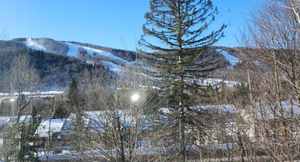Na zdjęciu widoczny jest obiekt Mountain view chalet avec vue sur la montagne położony w mieście Stoneham.
