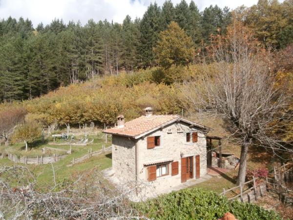 Apartment Appartement Mit Grill- Gemeinsamem Pool Und Garten By Interhome - Bagno di Romagna