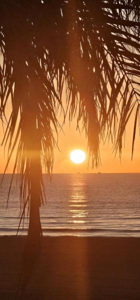 Torrevieja Playa - Torrevieja