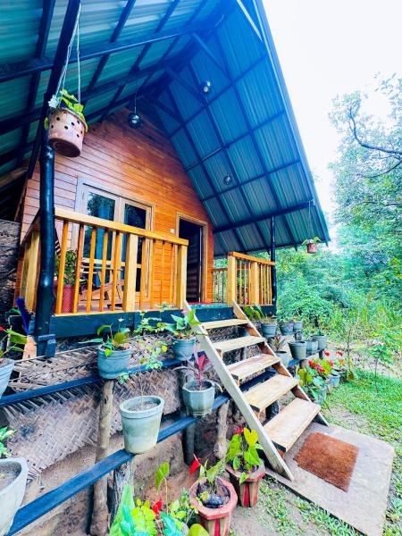 Sigiriya Carpenter Cottage - Sri Lanka