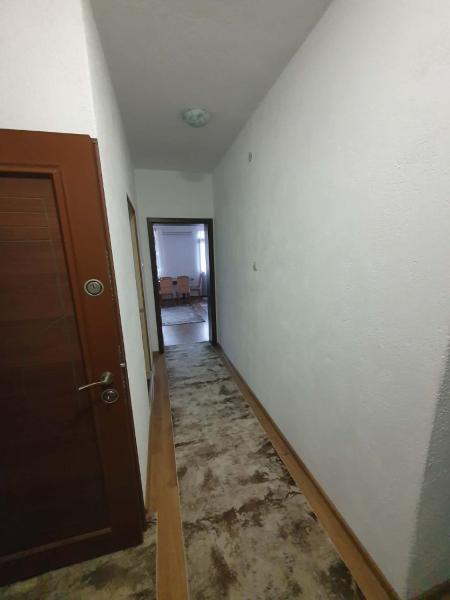 Levkov的照片9