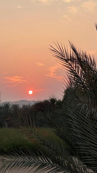 Al Gaith Retreat - アラブ首長国連邦