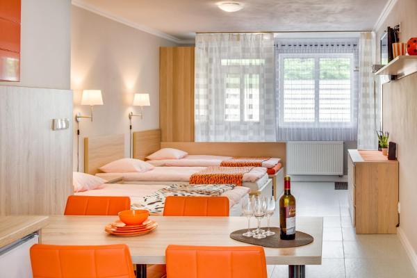 En la foto se muestra el objeto Apartements Studio 964 ubicado en la ciudad de Hovorčovice.