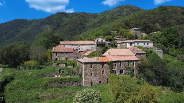 Le Châtaignier - Valleraugue