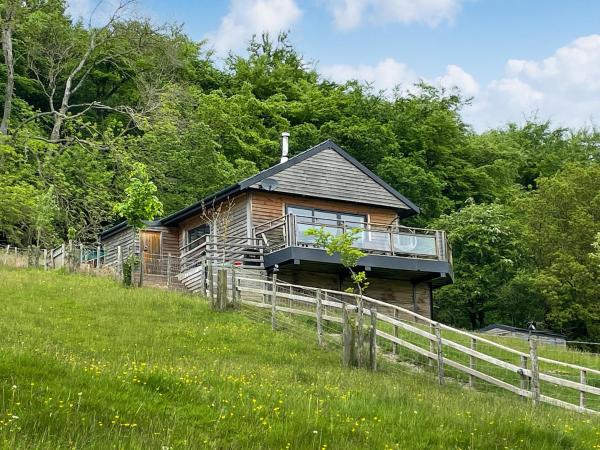 Offa's Dyke Lodge - Uk10835 - Shropshire