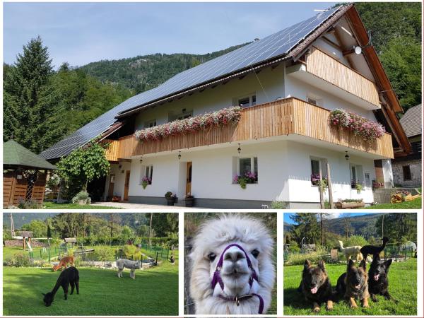 Domačija Loncnar - Bohinj